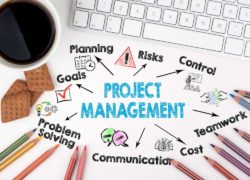 Project Leadership & Management